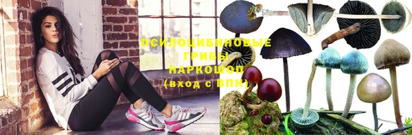 mix Кодинск